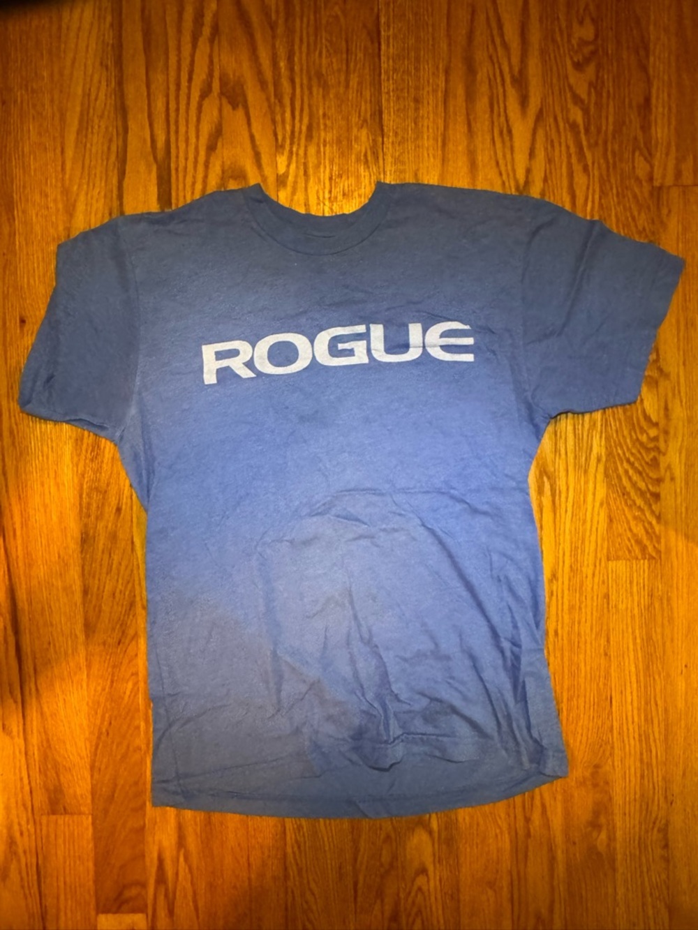 Rogue Short Sleeve Logo Tee in Blue and White